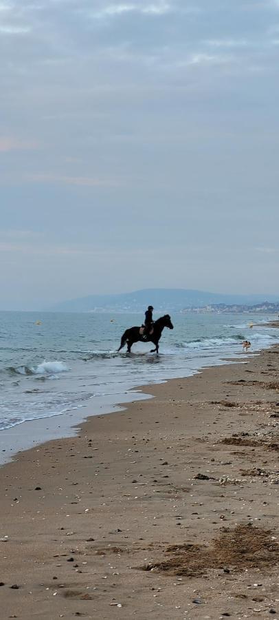 Villers Plage 1 ภายนอก รูปภาพ